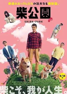 姑妈的忠告
