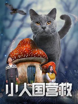 1080HD高清在线观看