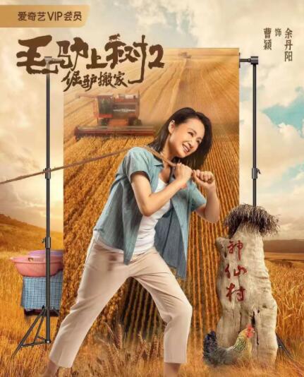伊人欧美一区