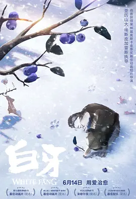 蓝光原盘在线观看