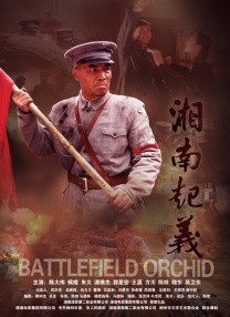 完结完整版观看