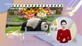 欧美亚洲综合在线观看